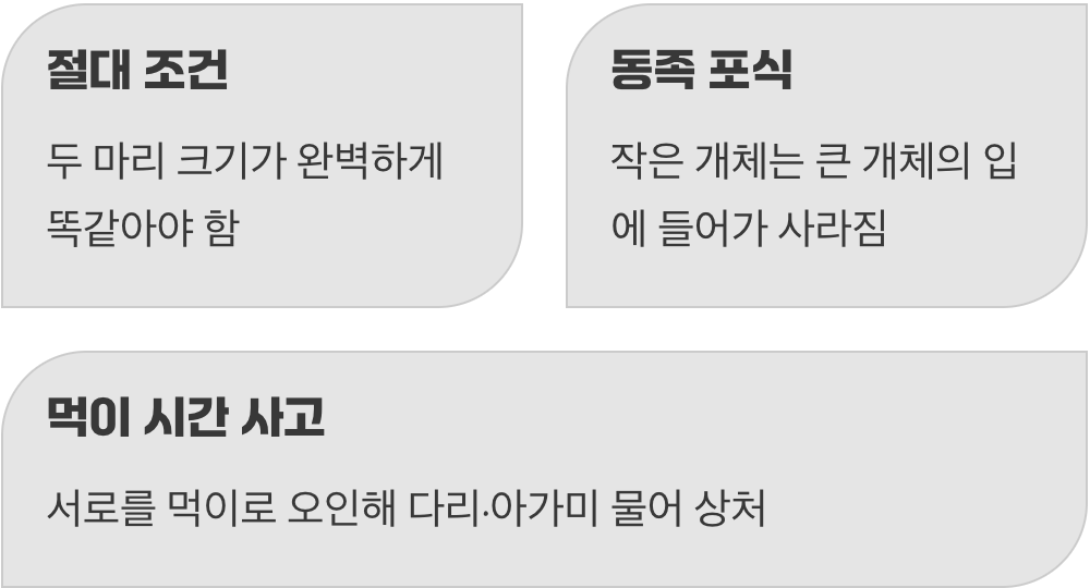 우파루파끼리는 괜찮지 않을까요?