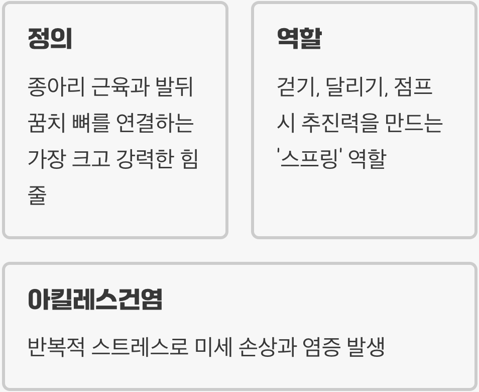 '아킬레스건'은 우리 몸의 '강력한 스프링'