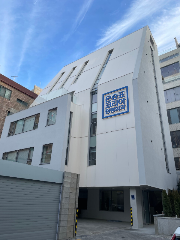 강남구 압구정동 정형외과 유명하고 잘하는 곳 추천 TOP 5