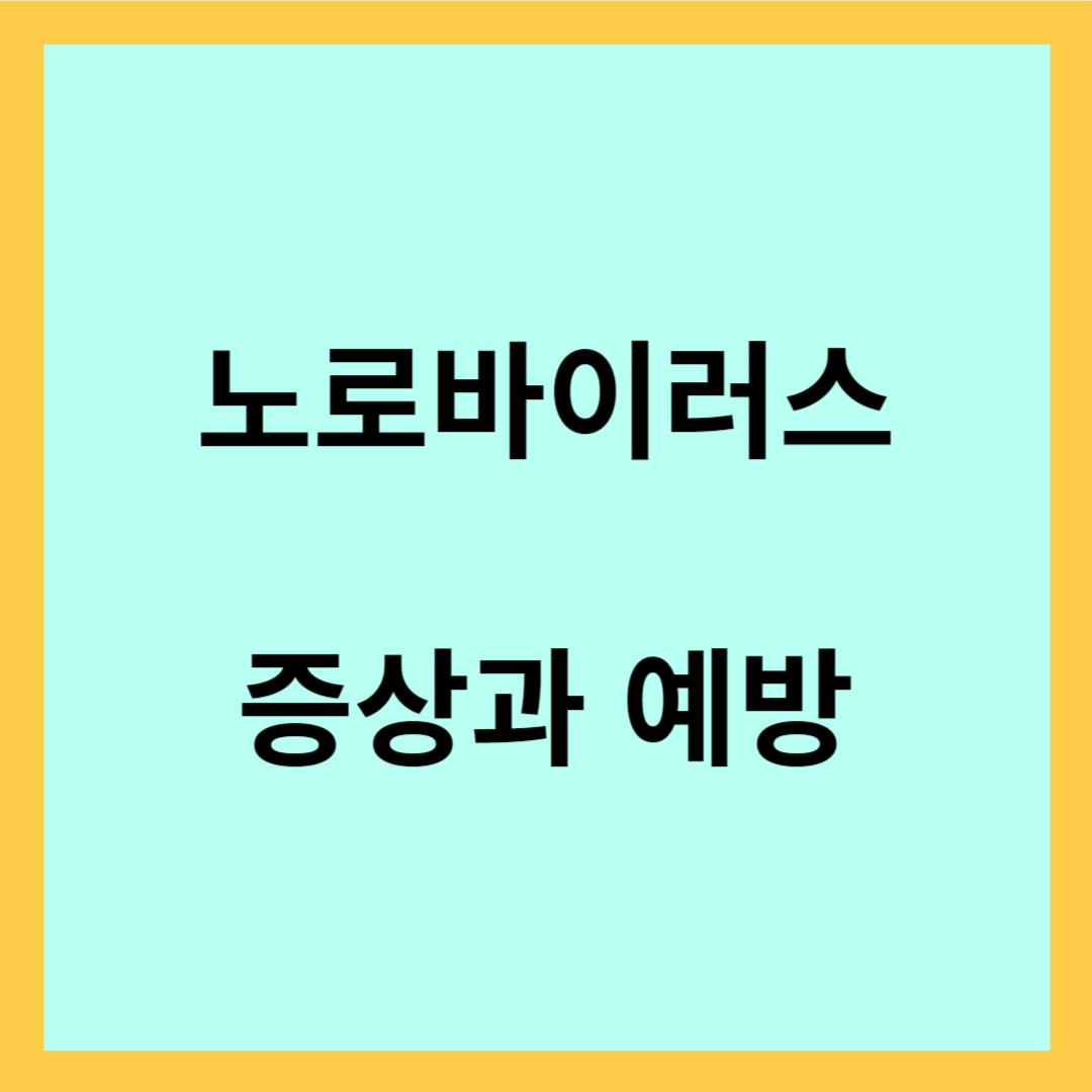 겨울 노로바이러스 - 노로바이러스의 특징, 예방법