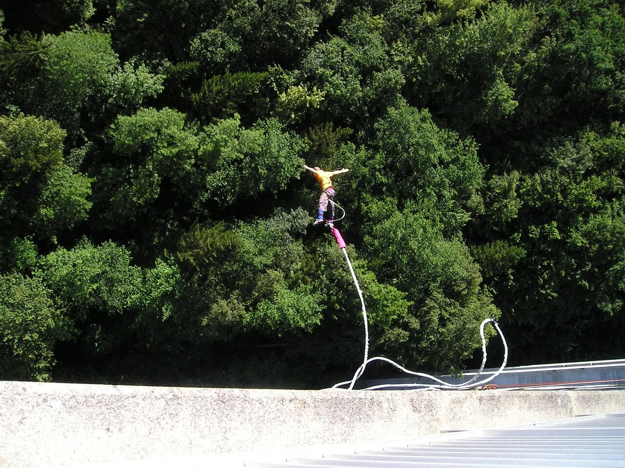 2025년 트렌드 여행 추천 관련 사진