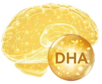 오메가3 복용방법