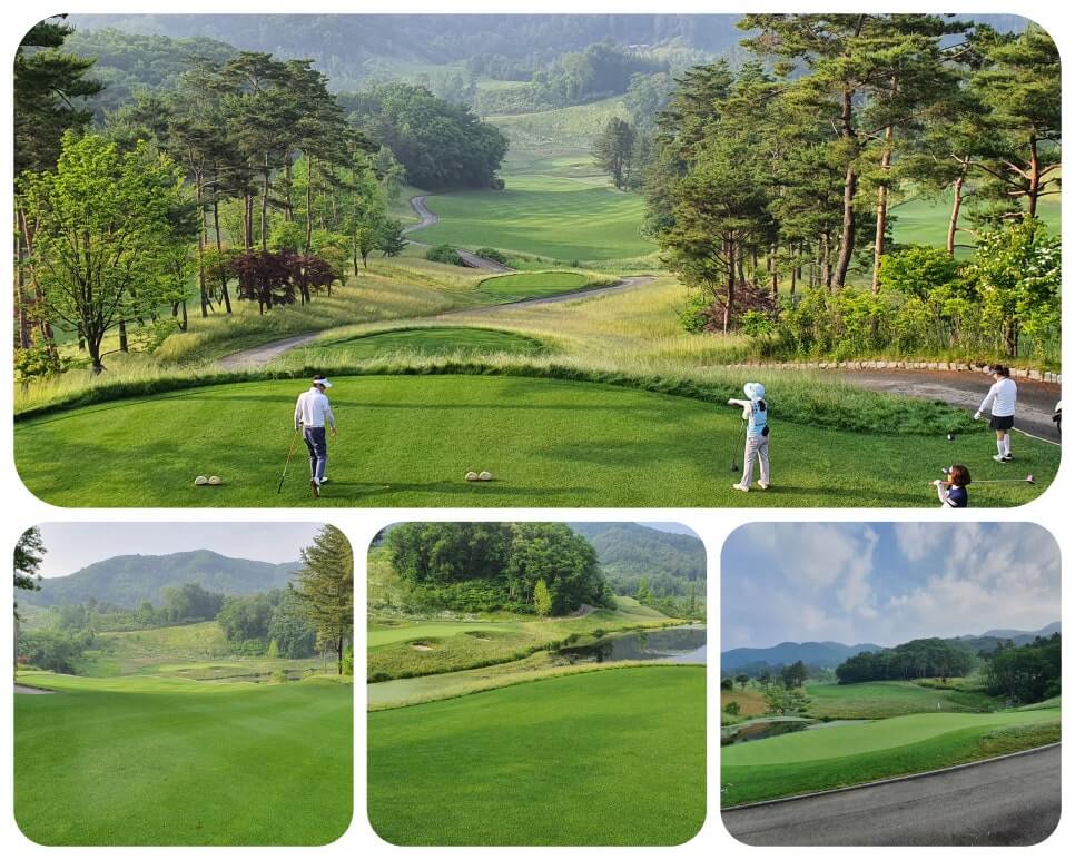 골프장 경험담 홍천 세이지우드cc 사람이 가장 쾌적함을 느끼는 해발 765m에서 경험하는 자연, 골프, 쉼