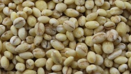 건강에 좋은 슈퍼 곡물, 찰보리 효능과 먹는법(밥, 떡, 빵, 죽)