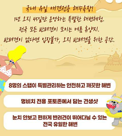 강원도 애견동반 해수욕장