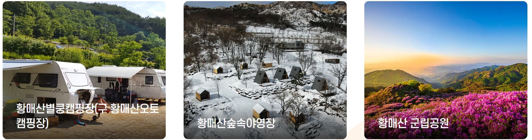 [경남 합천 여행]5월 지역 축제❘황매산 철쭉축제❘기간, 예약, 실시간 개화 현황