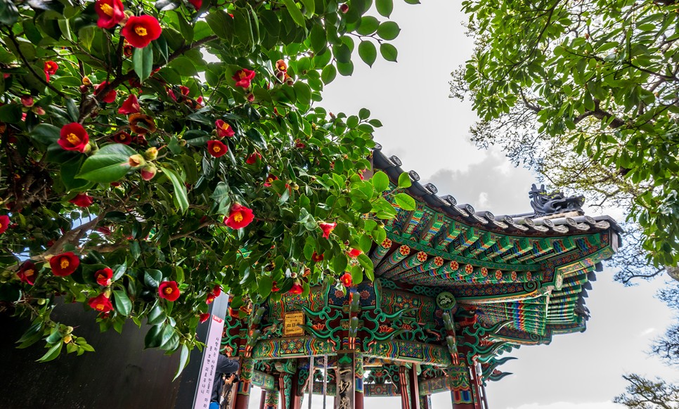 여수 가족 여행 1박 2일 코스 BEST 5