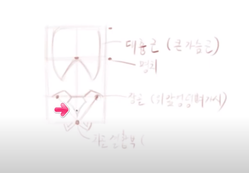 김락희의 인체 드로잉