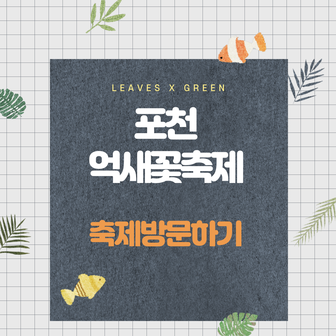 포천산정호수억새꽃축제