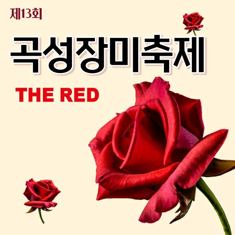 곡성장미축제