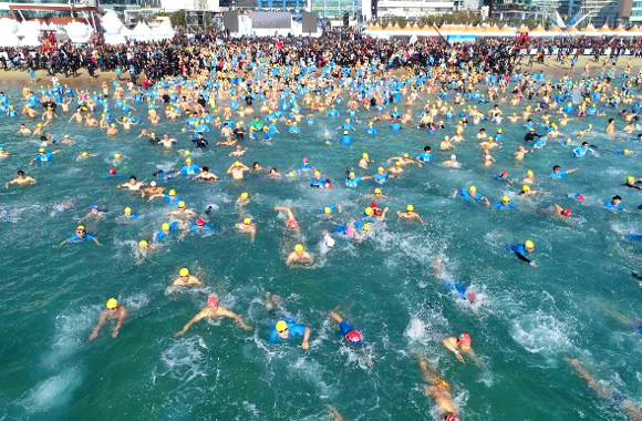 부산 해운대 북극곰 축제