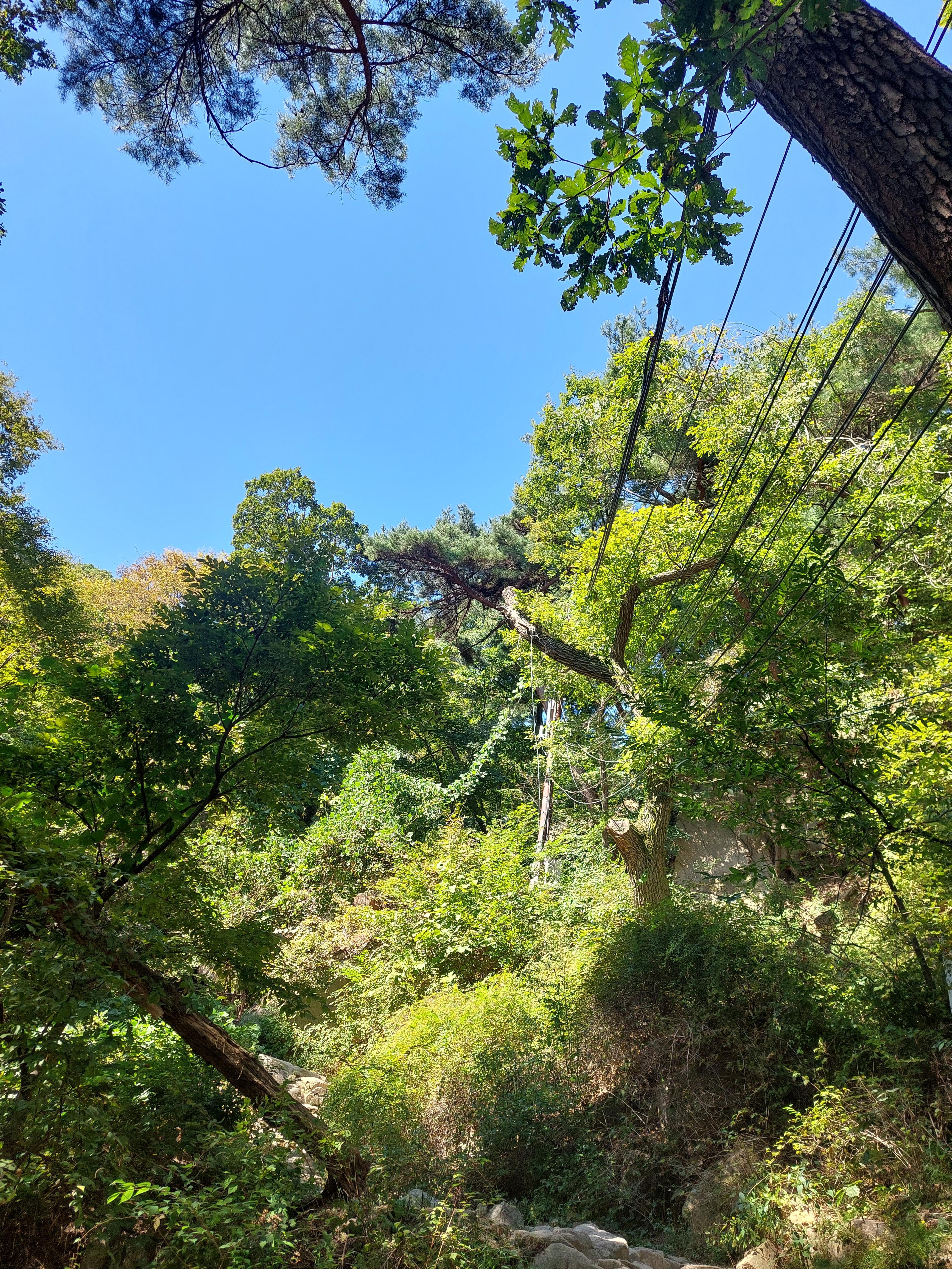 도봉산