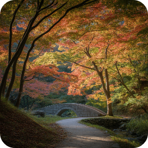 서울&middot;수도권 당일치기 단풍 여행 명소 이미지