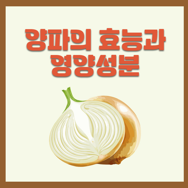 양파의효능