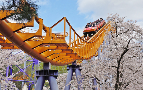 벚꽃 개화시기 2023