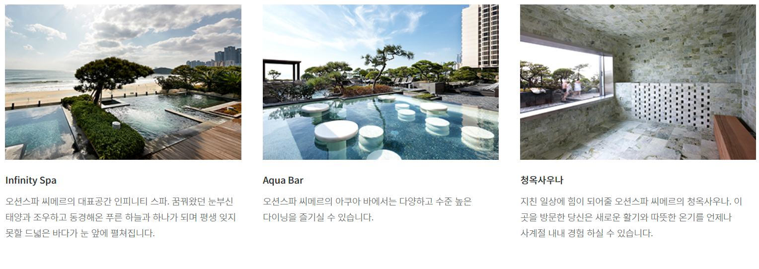 파라다이스호텔부산