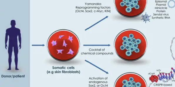 Host&ndash;Pathogen Metabolomics: 감염병 진단을 위한 대사체 기반 Biomarker 탐지