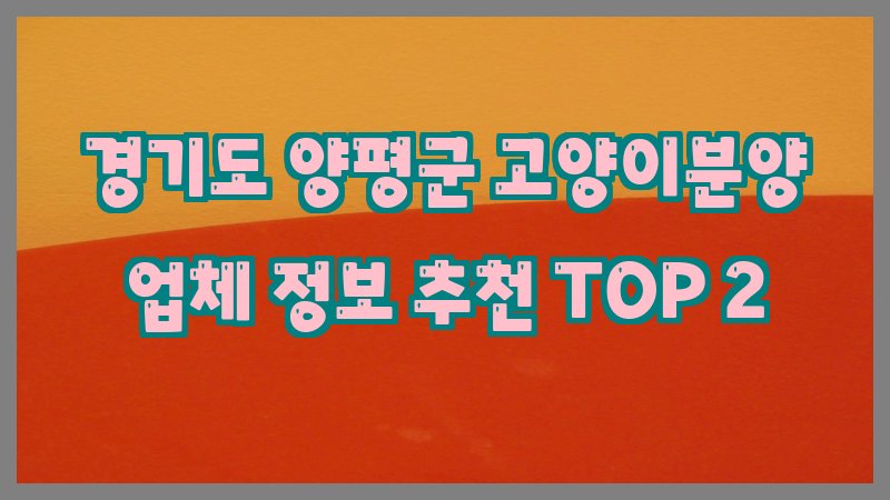 경기도 양평군 고양이분양