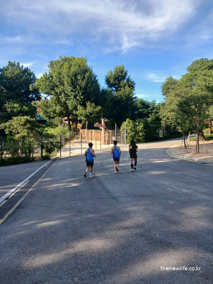 Three people pushing too hard on an uphill path in hot weather – an example of unrealistic early workout expectations./무더운 날씨에 오르막길을 무리하게 뛰는 세 사람 – 비현실적인 초기 운동 목표의 예시.