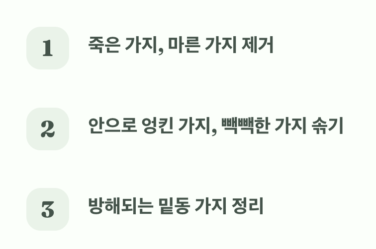 어디를, 어떻게 잘라야 할까?