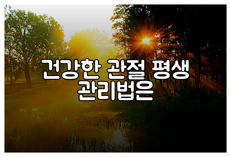 건강한 관절 평생 관리법은