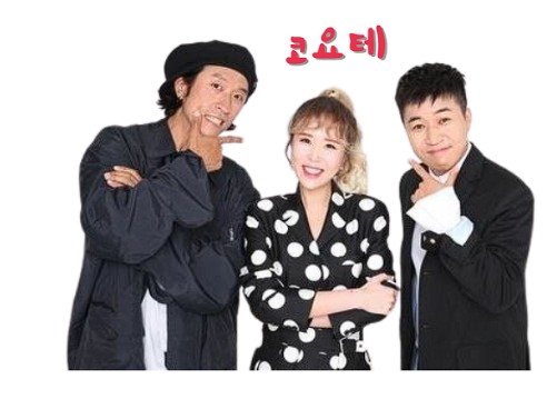 함평-나비축제