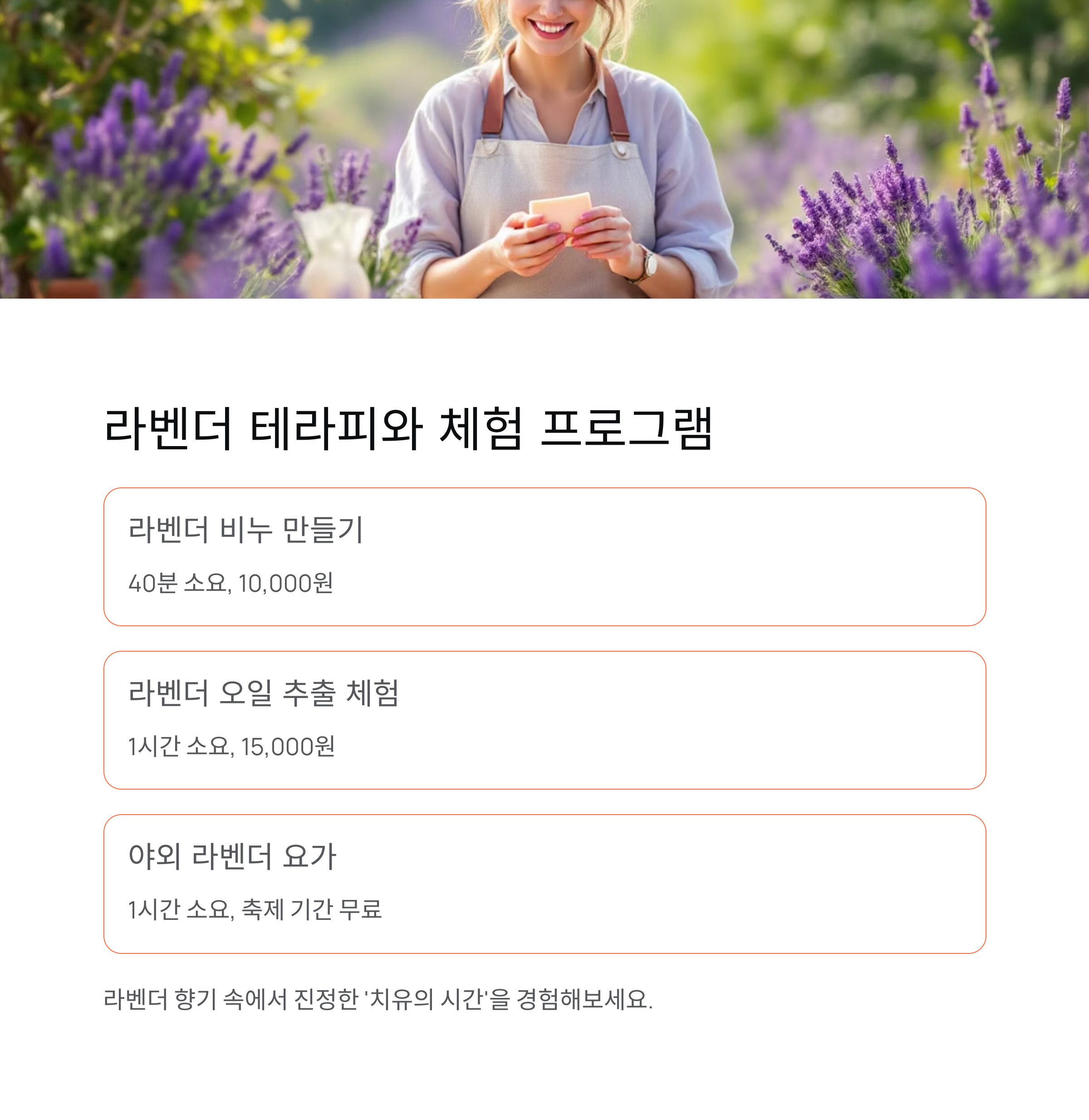 강원도 고성 하늬라벤더팜,