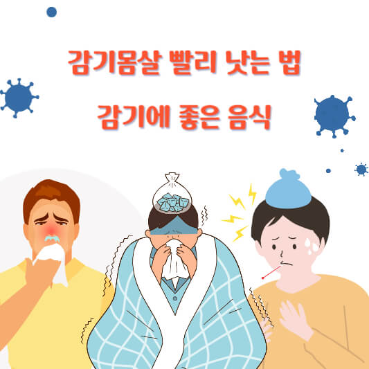 감기몸살 빨리 낫는 법, 감기에 좋은 음식