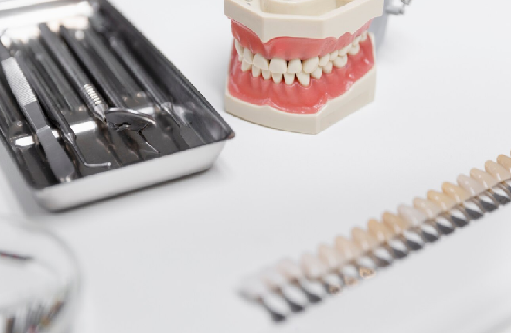 치과 기구 및 치아