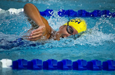 파리올림픽 추가 종목 소개