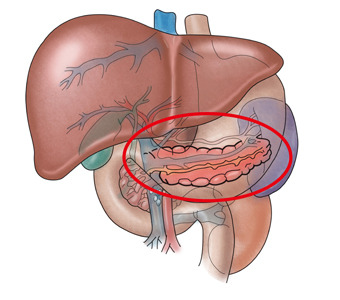 당뇨병 정상수치 혈당기준&amp;#44; 관리 방법&amp;#44; 예방법