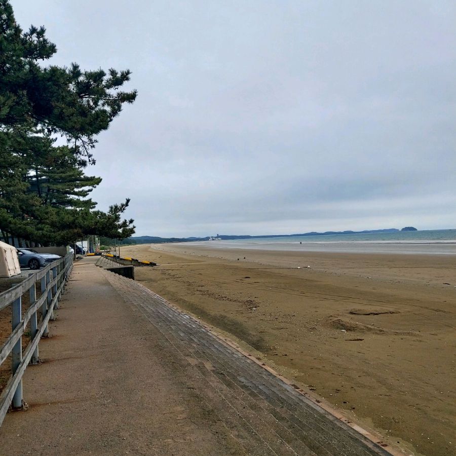 몽산포해수욕장