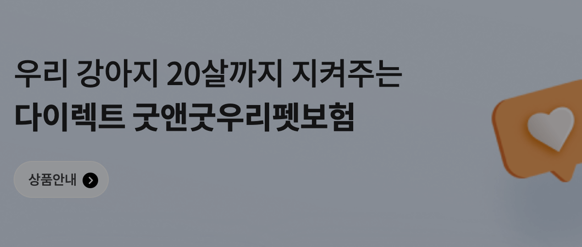 펫보험 ❘ 종류 ❘ 비교 ❘ 베스트 2 추천
