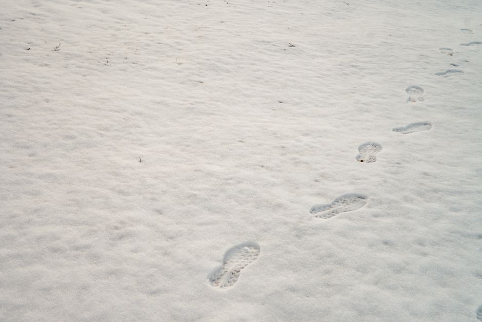 Footprints trail through fresh snow, capturing the serene winter landscape.
