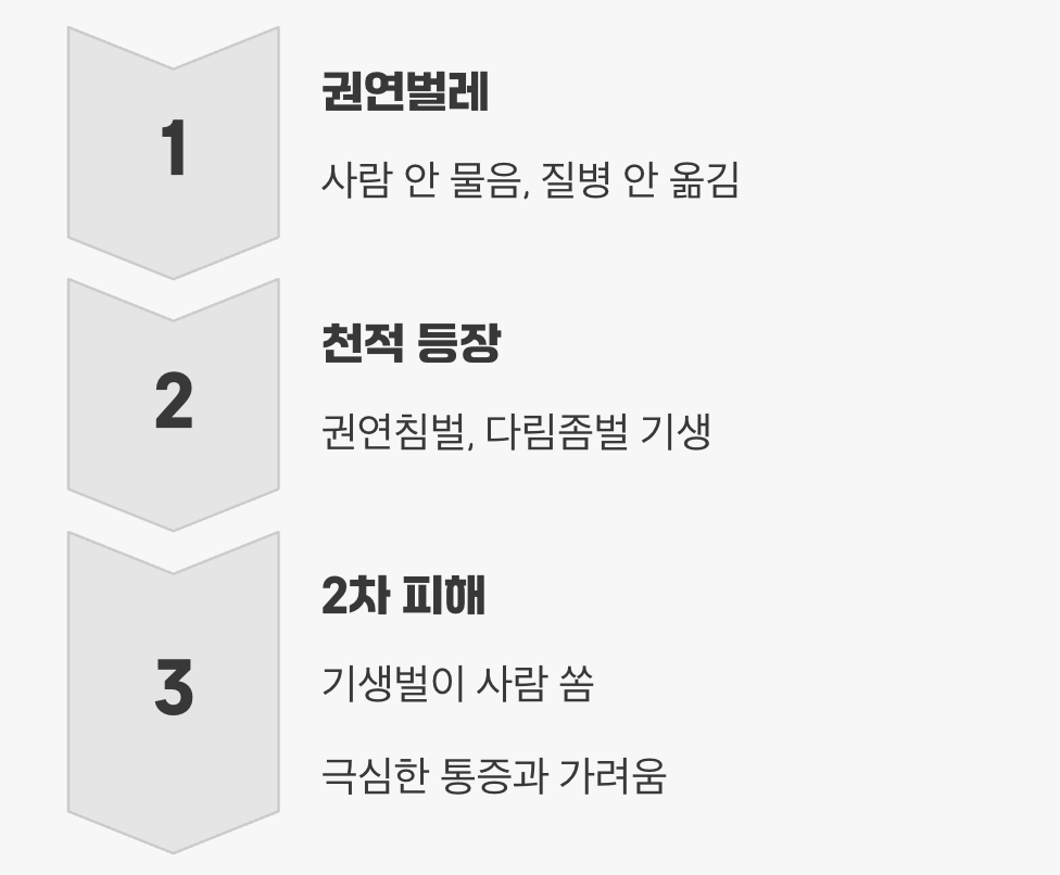 사람을 물지는 않지만, 더 무서운 2차 피해