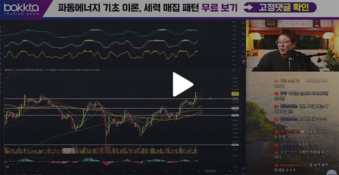 알트코인-불장