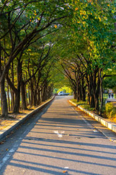 잠수교 뚜벅뚜벅 축제