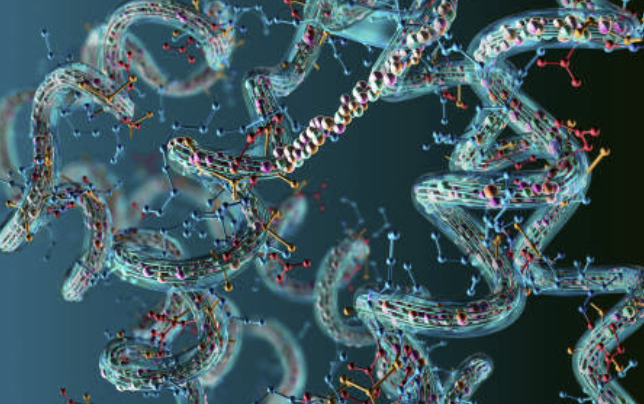 Trypsin digestion이 완벽하지 않은 이유