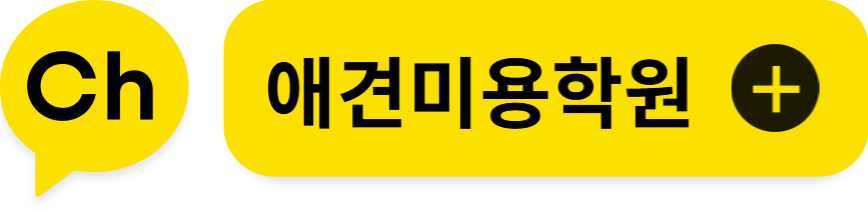 애견미용학원 카카오톡