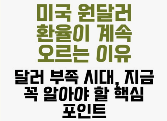 원달러 환율이 높으면
