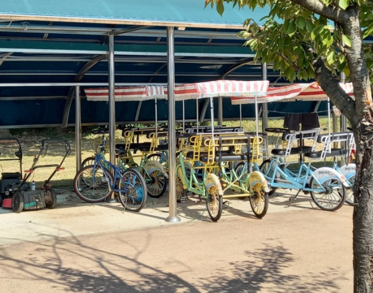 청도 레일바이크