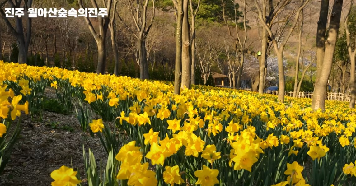 남도 여행지