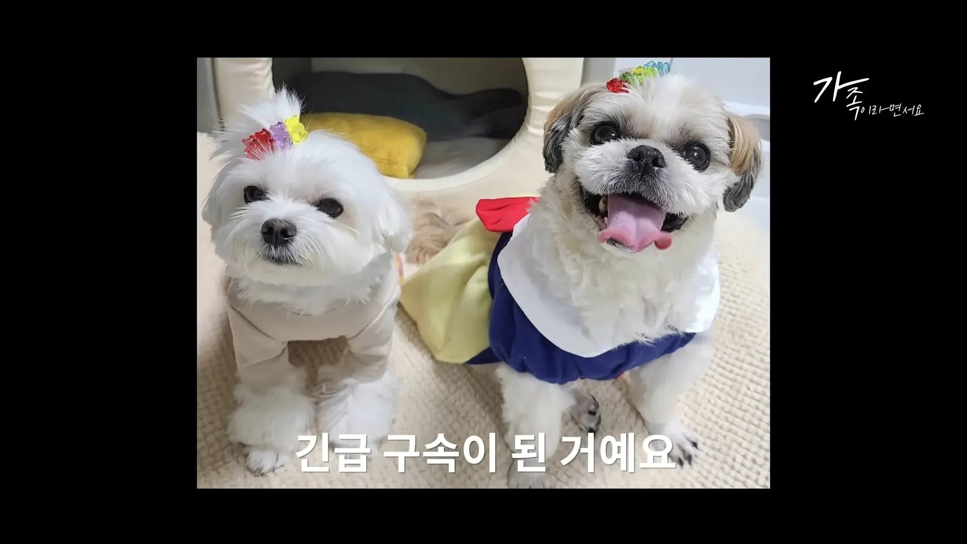 경태 태희 근황 소식 후원