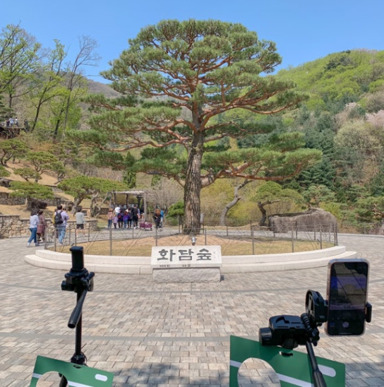 곤지암 화담숲 수선화축제