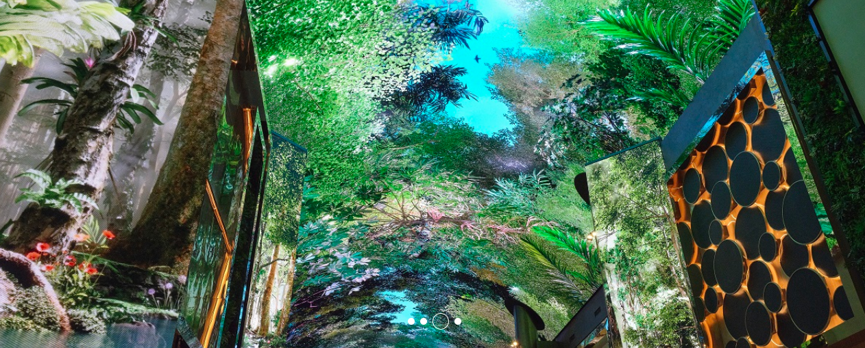 오로라-3