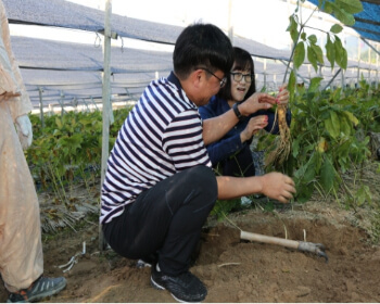 금산인삼축제_15