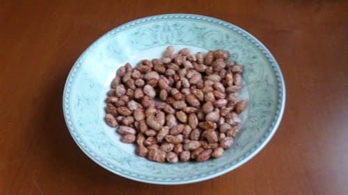 호랑이강낭콩-종자-파종시기