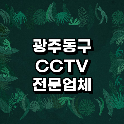 광주 동구 cctv