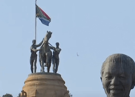 브릭스 회원국 국기