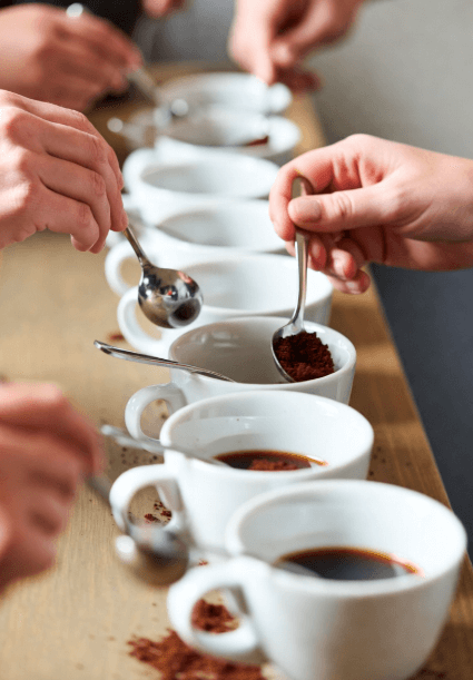 커피 커핑(Cupping) 입문 ( 커핑이란, 커핑의 5단계, 테이스팅 노트 작성법, 미각 훈련 팁)